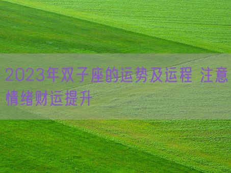 2023年双子座的运势及运程 注意情绪财运提升(图1) 2023年双子座的运势及运程 注意情绪财运提升(图1)
