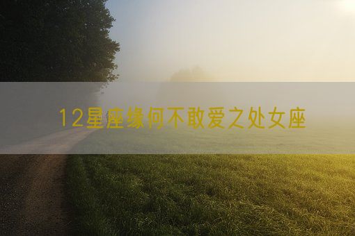 12星座缘何不敢爱之处女座(图1) 12星座缘何不敢爱之处女座(图1)