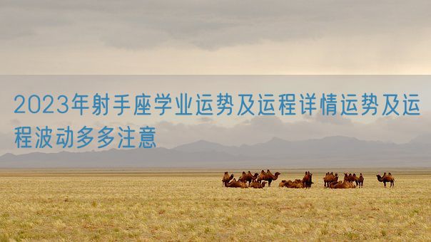 2023年射手座学业运势及运程详情运势及运程波动多多注意(图1)