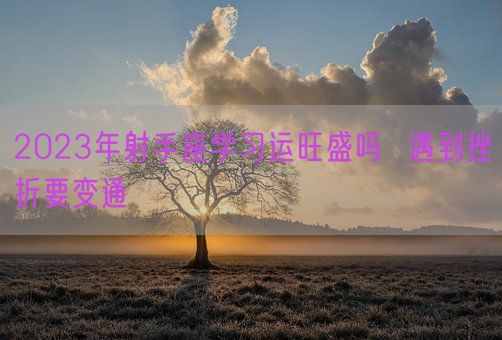 2023年射手座学习运旺盛吗  遇到挫折要变通(图1)