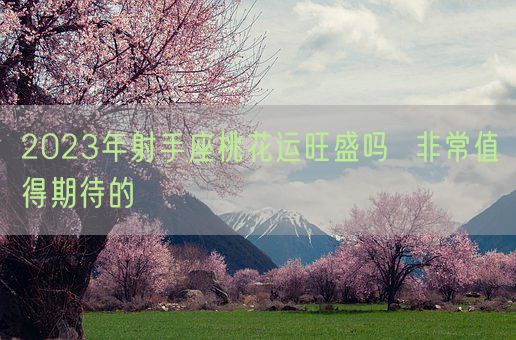 2023年射手座桃花运旺盛吗  非常值得期待的(图1)