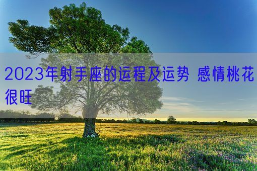 2023年射手座的运程及运势 感情桃花很旺(图1)