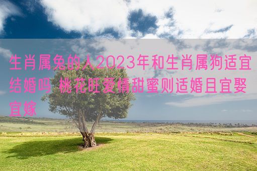 生肖属兔的人2023年和生肖属狗适宜结婚吗 桃花旺爱情甜蜜则适婚且宜娶宜嫁(图1)