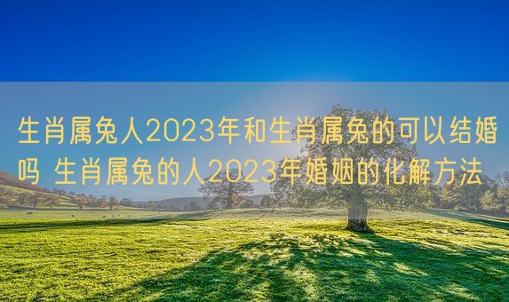 生肖属兔人2023年和生肖属兔的可以结婚吗 生肖属兔的人2023年婚姻的化解方法(图1)