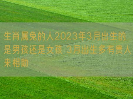 生肖属兔的人2023年3月出生的是男孩还是女孩 3月出生多有贵人来相助(图1)