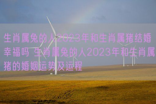 生肖属兔的人2023年和生肖属猪结婚幸福吗 生肖属兔的人2023年和生肖属猪的婚姻运势及运程(图1)