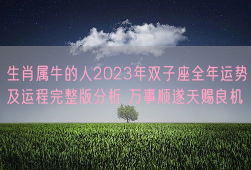 生肖属牛的人2023年双子座全年运势及运程完整版分析 万事顺遂天赐良机(图1) 生肖属牛的人2023年双子座全年运势及运程完整版分析 万事顺遂天赐良机(图1)
