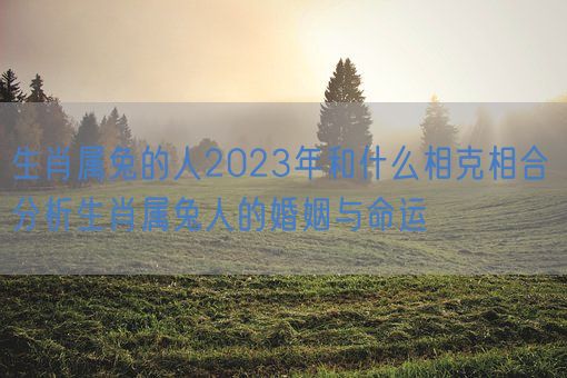 生肖属兔的人2023年和什么相克相合 分析生肖属兔人的婚姻与命运(图1)