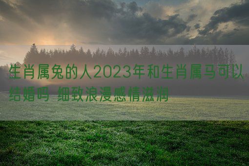 生肖属兔的人2023年和生肖属马可以结婚吗 细致浪漫感情滋润(图1)