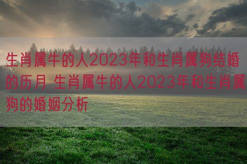 生肖属牛的人2023年和生肖属狗结婚的历月 生肖属牛的人2023年和生肖属狗的婚姻分析(图1) 生肖属牛的人2023年和生肖属狗结婚的历月 生肖属牛的人2023年和生肖属狗的婚姻分析(图1)