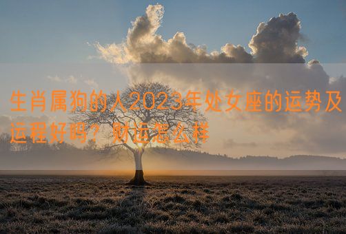 生肖属狗的人2023年处女座的运势及运程好吗?财运怎么样(图1) 生肖属狗的人2023年处女座的运势及运程好吗?财运怎么样(图1)