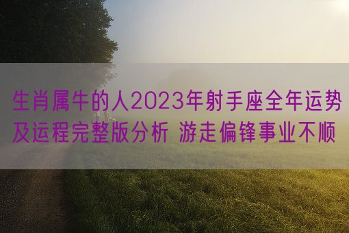 生肖属牛的人2023年射手座全年运势及运程完整版分析 游走偏锋事业不顺(图1) 生肖属牛的人2023年射手座全年运势及运程完整版分析 游走偏锋事业不顺(图1)