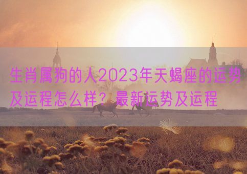 生肖属狗的人2023年天蝎座的运势及运程怎么样？最新运势及运程(图1)