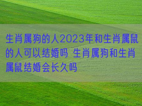 生肖属狗的人2023年和生肖属鼠的人可以结婚吗 生肖属狗和生肖属鼠结婚会长久吗(图1)