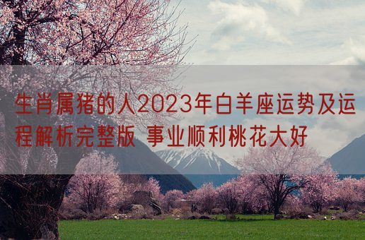 生肖属猪的人2023年白羊座运势及运程解析完整版 事业顺利桃花大好(图1)