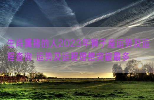 生肖属猪的人2023年狮子座运势及运程查询 运势及运程理想突破最多(图1)