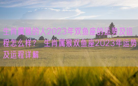 生肖属猴的人2023年双鱼座的运势及运程怎么样？ 生肖属猴双鱼座2023年运势及运程详解(图1)