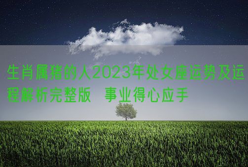 生肖属猪的人2023年处女座运势及运程解析完整版  事业得心应手(图1) 生肖属猪的人2023年处女座运势及运程解析完整版  事业得心应手(图1)