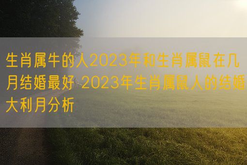 生肖属牛的人2023年和生肖属鼠在几月结婚最好 2023年生肖属鼠人的结婚大利月分析(图1) 生肖属牛的人2023年和生肖属鼠在几月结婚最好 2023年生肖属鼠人的结婚大利月分析(图1)