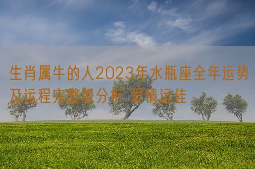生肖属牛的人2023年水瓶座全年运势及运程完整版分析 爱情运佳(图1) 生肖属牛的人2023年水瓶座全年运势及运程完整版分析 爱情运佳(图1)