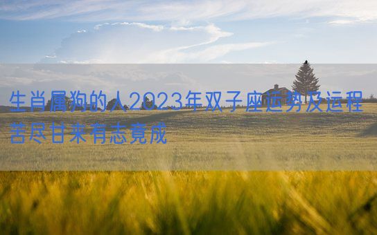 生肖属狗的人2023年双子座运势及运程 苦尽甘来有志竟成(图1) 生肖属狗的人2023年双子座运势及运程 苦尽甘来有志竟成(图1)