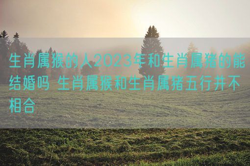 生肖属猴的人2023年和生肖属猪的能结婚吗 生肖属猴和生肖属猪五行并不相合(图1)