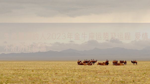 生肖属狗的人2023年金牛座运势及运程 爱情不济防杜疏漏(图1) 生肖属狗的人2023年金牛座运势及运程 爱情不济防杜疏漏(图1)