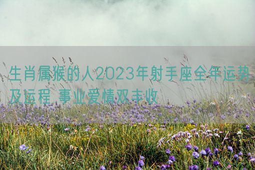 生肖属猴的人2023年射手座全年运势及运程 事业爱情双丰收(图1)