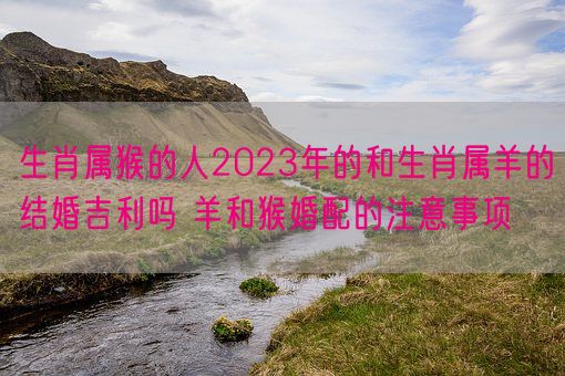 生肖属猴的人2023年的和生肖属羊的结婚吉利吗 羊和猴婚配的注意事项(图1)