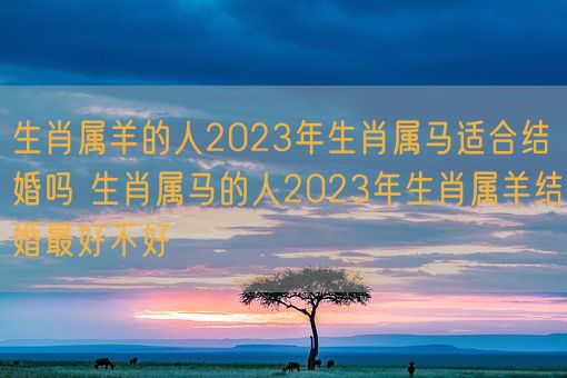 生肖属羊的人2023年生肖属马适合结婚吗 生肖属马的人2023年生肖属羊结婚最好不好(图1)