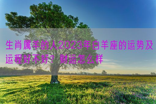 生肖属羊的人2023年白羊座的运势及运程好不好？财运怎么样(图1)