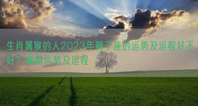 生肖属猴的人2023年狮子座的运势及运程好不好？最新运势及运程(图1)