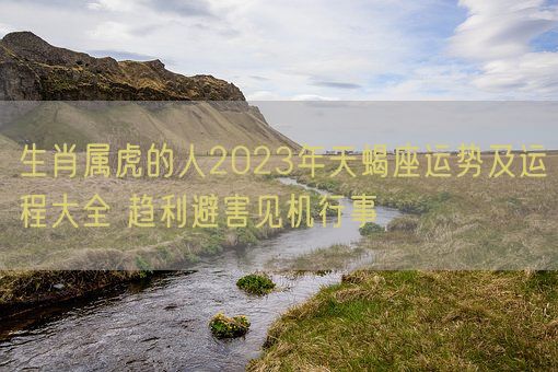 生肖属虎的人2023年天蝎座运势及运程大全 趋利避害见机行事(图1)