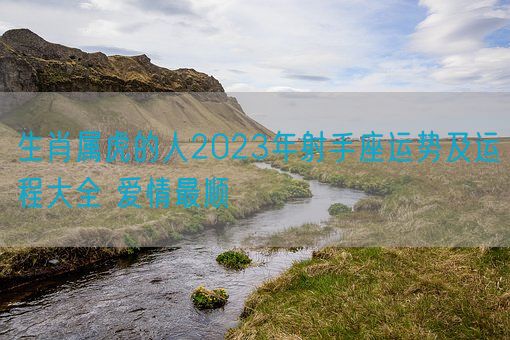 生肖属虎的人2023年射手座运势及运程大全 爱情最顺(图1)