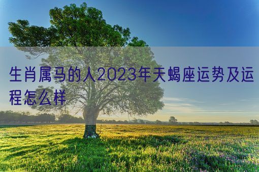 生肖属马的人2023年天蝎座运势及运程怎么样 (图1)