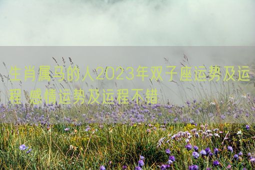 生肖属马的人2023年双子座运势及运程 感情运势及运程不错 (图1) 生肖属马的人2023年双子座运势及运程 感情运势及运程不错 (图1)
