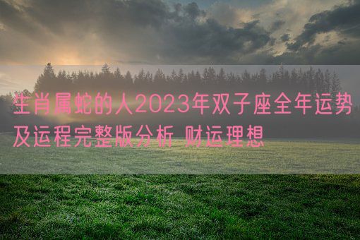 生肖属蛇的人2023年双子座全年运势及运程完整版分析 财运理想(图1) 生肖属蛇的人2023年双子座全年运势及运程完整版分析 财运理想(图1)