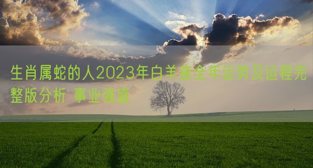 生肖属蛇的人2023年白羊座全年运势及运程完整版分析 事业强盛(图1)