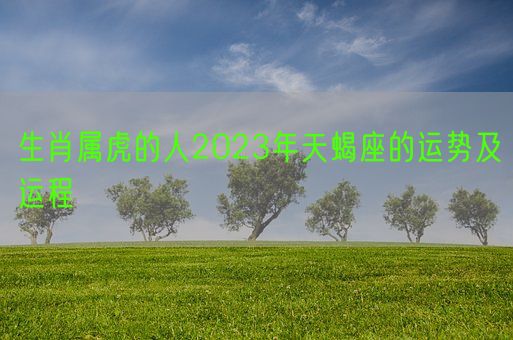 生肖属虎的人2023年天蝎座的运势及运程(图1)