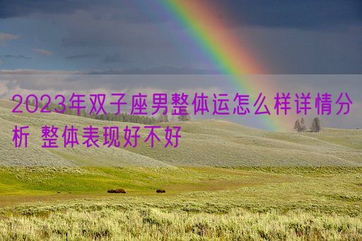 2023年双子座男整体运怎么样详情分析 整体表现好不好(图1)