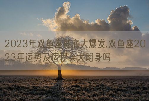 2023年双鱼座彻底大爆发,双鱼座2023年运势及运程会大翻身吗(图1)
