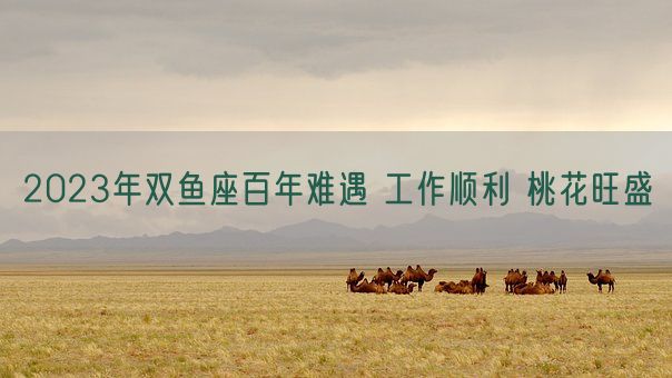 2023年双鱼座百年难遇 工作顺利 桃花旺盛(图1)
