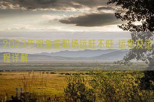 2023年双鱼座职场运旺不旺 运势及运程详解(图1)