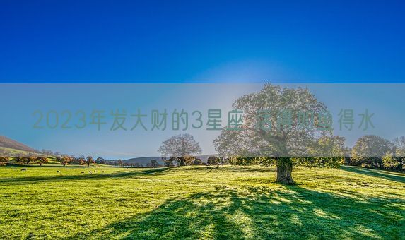 2023年发大财的3星座 活得如鱼得水(图1)