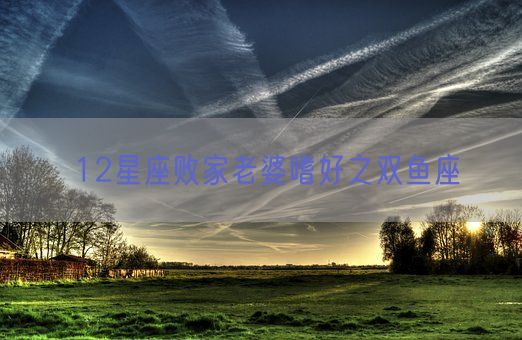 12星座败家老婆嗜好之双鱼座(图1)