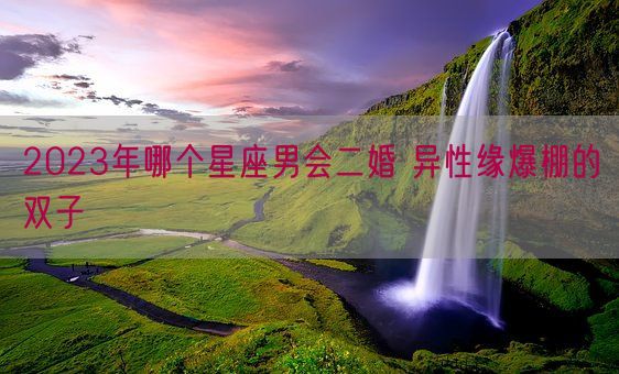 2023年哪个星座男会二婚 异性缘爆棚的双子(图1) 2023年哪个星座男会二婚 异性缘爆棚的双子(图1)