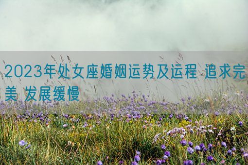 2023年处女座婚姻运势及运程 追求完美 发展缓慢(图1) 2023年处女座婚姻运势及运程 追求完美 发展缓慢(图1)