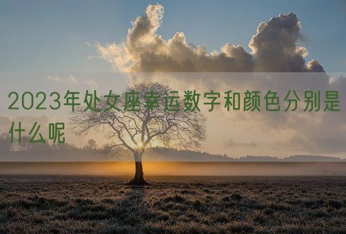 2023年处女座幸运数字和颜色分别是什么呢(图1)