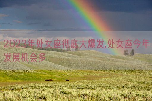 2023年处女座彻底大爆发,处女座今年发展机会多(图1) 2023年处女座彻底大爆发,处女座今年发展机会多(图1)