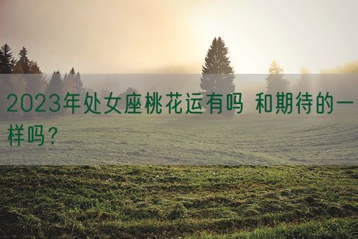 2023年处女座桃花运有吗 和期待的一样吗?(图1) 2023年处女座桃花运有吗 和期待的一样吗?(图1)